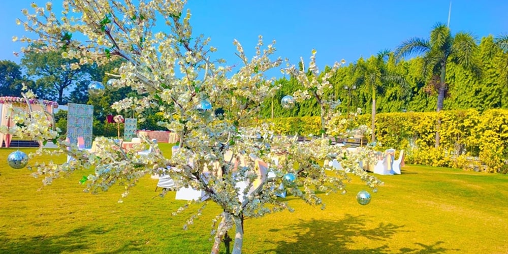 Luxury Resorts in Chhatarpur, New Delhi